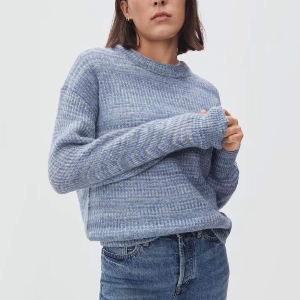 Everlane Alpaca Crew neck sweater